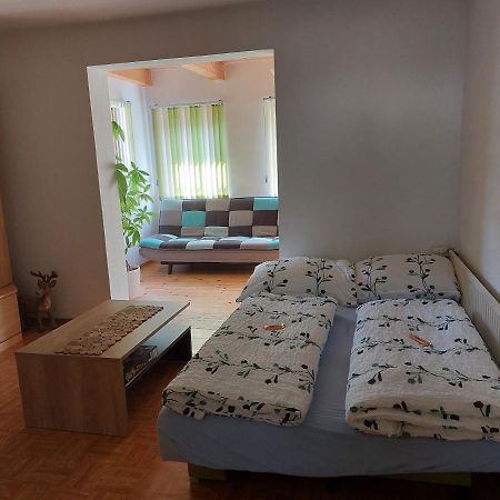 Grimmingapartment Maier Stainach Eksteriør billede